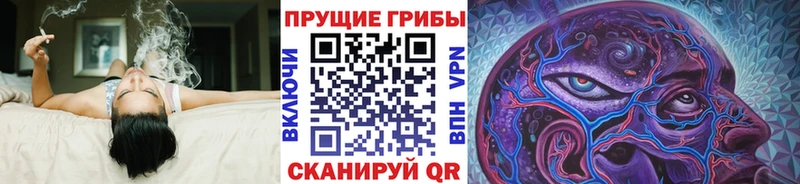 МЕГА зеркало  Киренск  Псилоцибиновые грибы ЛСД 